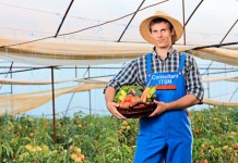 Comme en agriculture, adoptez les circuits courts et la vente directe pour vos prestations informatiques