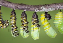 Les 7 règles de la transformation digitale