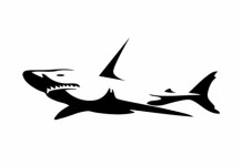 Silicon Valley – Delphix, de la virtualisation à la gouvernance des bases de données