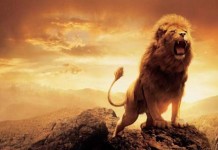 Le DSI doit devenir un lion… Rooaaaarrrrrr !