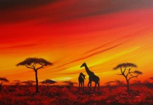 L’Afrique est l’avenir des DSI