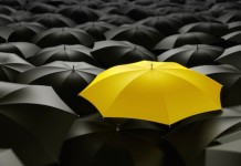 Innovation IT, le grand déballage