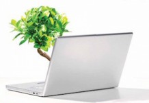 Le Top des initiatives green des entreprises IT