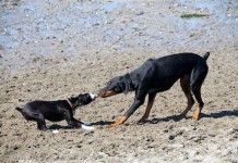 Vers une progression des budgets IT et métiers