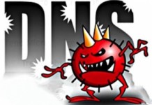 Les victimes consentantes des attaques DNS (Infographie)