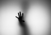 DSI, le Shadow IT est là pour longtemps, mais où sont les données ?