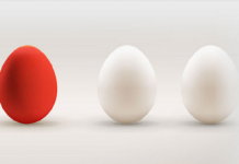 Le Cercle va débattre sur les données personnelles, le RSSI et le DPO Débat - Le Cercle européen de la sécurité