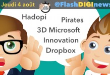 La Hadopi et le Parquet face aux Français pirates