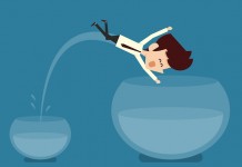 4 bonnes raisons d’envisager l’embauche d’un CDO