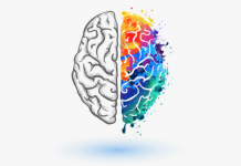 Votre nouvelle arme secrète : 3 couleurs pour améliorer votre créativité