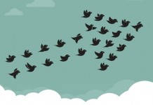 2017, l’année de la migration vers le Cloud