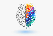 Tribune : Attention, Facebook veut se faire une place dans notre cerveau