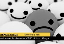 5 actus digitales : 1 #pessimisme 2 #mobinautes 3 #THD 4 #Linux 5 #Petya