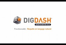 DigDash
