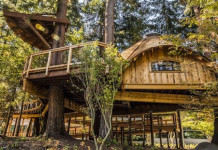 Des cabanes dans les arbres pour favoriser la productivité des employés