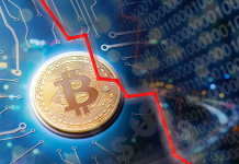 Cryptomonnaie : les monnaies les plus célèbres en chute libre