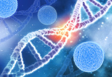 Un séjour prolongé dans l’espace modifierait l’ADN humain