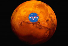 Marsbees : un essaim d’abeilles robotiques va mettre le cap sur Mars