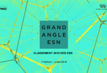 Syntec Numérique : Classement 2018 des ESN