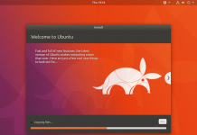 Bionic Beaver : Une version optimisée d’Ubuntu sous Windows
