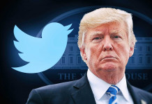 Twitter : suppression de plusieurs comptes abonnés à Trump