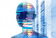 Le salaire des experts de la donnée en France