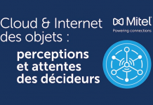 Cloud & Internet des objets : perceptions et attentes des décideurs (Infographie)