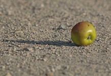 Des scientifiques ont pu reconstituer un objet en se basant sur la photographie de son ombre