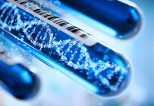 Microsoft convertira des informations numériques en ADN