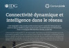 Connectivité dynamique et intelligence dans le réseau (infographie)