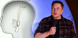 Neuralink, la startup d’Elon Musk, projette d’implanter des puces électroniques dans des cerveaux humains