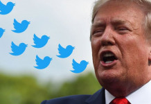 Les 11.000 tweets de Donald Trump analysés par le New York Times