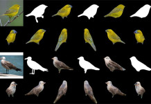 Nvidia a conçu une IA capable de générer instantanément un modèle 3D à partir d’une image 2D