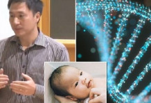 3 ans de prison seulement pour le scientifique chinois qui a conçu des bébés humains génétiquement modifiées