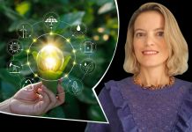 Transformer durablement l’entreprise avec le Green Management