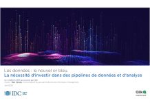 IDC : Les données, le nouvel or bleu