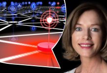 Les fondamentaux de la cybersécurité, à l’ère du shadow IoT et de Ransomware-as-a-Service