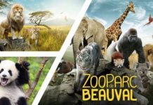 Le Zooparc de Beauval fait appel à Nutanix pour fiabiliser et simplifier son infrastructure IT