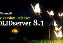 SOLIDServer, la solution DDI d’EfficientIP supporte à présent Google Cloud Platform en plus d’AWS et Microsoft Azure