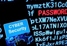 Le Top 20 des mots de passe compromis trouvés sur le Dark web