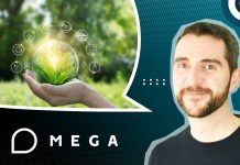 Comment intégrer l’écoconception et l’accessibilité dans la culture d’entreprise