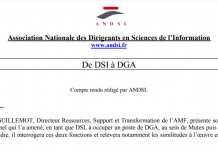 Compte Rendu « De DSI à DGA… »