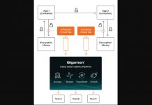 Gigamon Precryption intercepte et scrute le trafic est-ouest avant le chiffrement