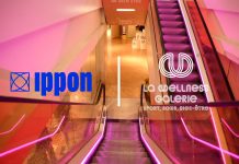 Ippon & La Wellness Galerie : Création d’un service inédit en ligne en moins de 3 mois