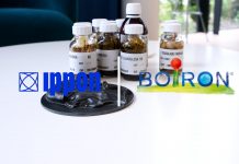 Ippon & Boiron : L’exemple d’un Go to Cloud Azure