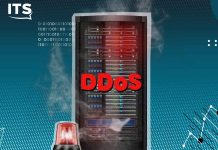 En devenant de plus en plus sophistiquées, les attaques DDoS décuplent leurs impacts