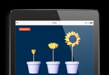 Simplicité opérationnelle : comment l’ERP cloud défie la complexité organisationnelle ?