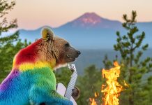 IA conversationnelle à tous les étages chez Adobe : agents intelligents et scénarios métiers