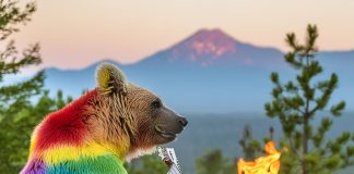 IA conversationnelle à tous les étages chez Adobe : agents intelligents et scénarios métiers