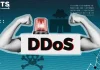 DDoS et infrastructures essentielles : la portée européenne des attaques contre les institutions françaises